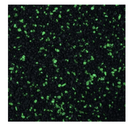 BETTA AQUARIUM GRAVEL EMERALD GLO 2.27KG