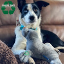 Ancol Made From Seal