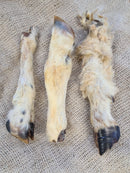 Hairy Lambs Feet x 1