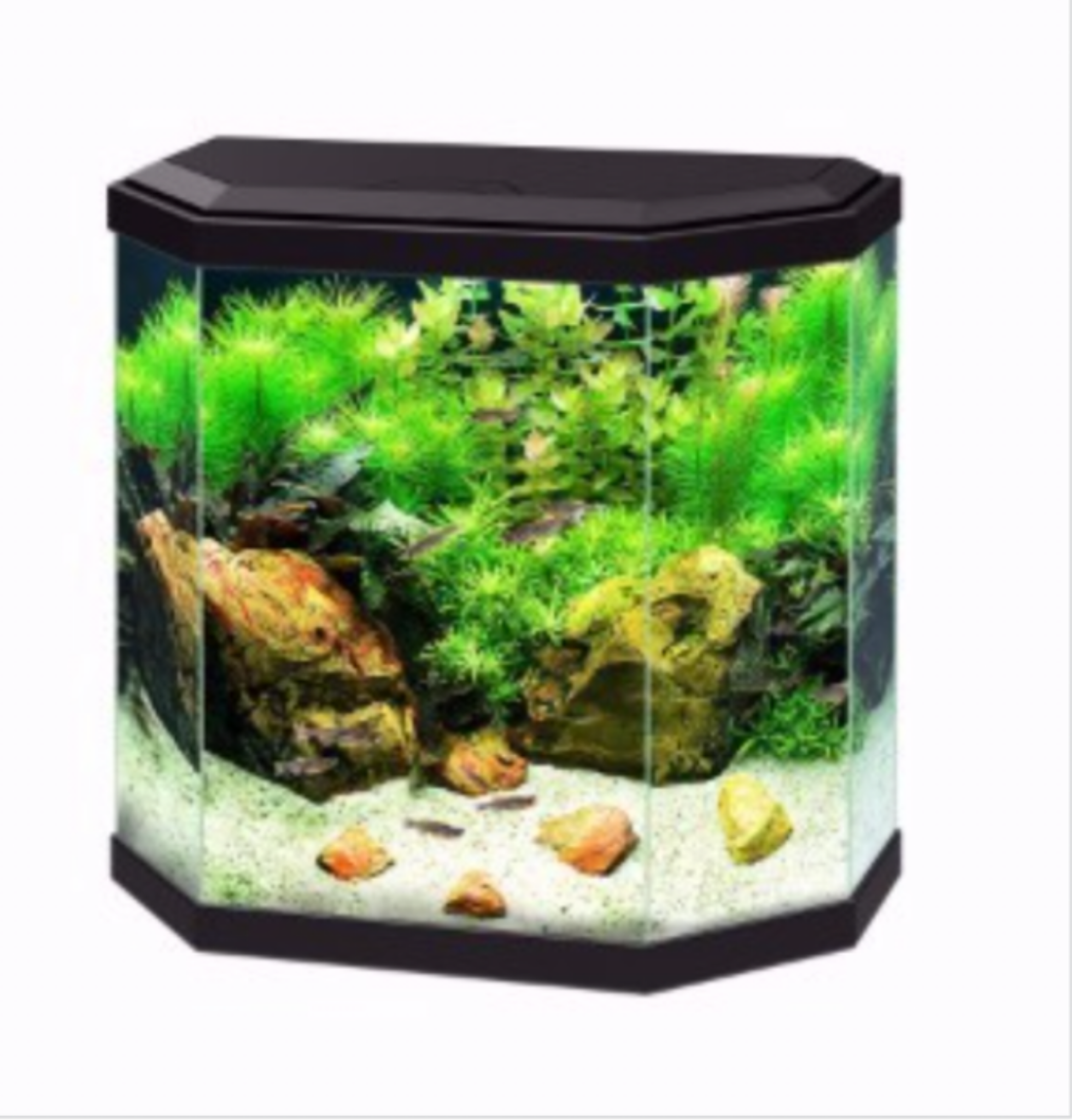 25 litre shop fish tank