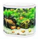 Aqua 30 white or Black Fish tank 25litre ( Local Delivery or Collection Only)