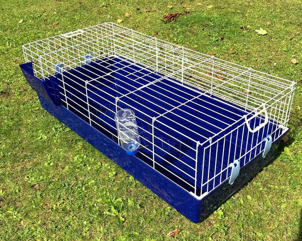 Indoor Rabbit Blue Rabbit Cage KCT Indoor Cage Rabbit Small 80cm