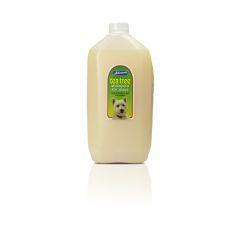 Johnsons Tea Tree Shampoo 5 Litre