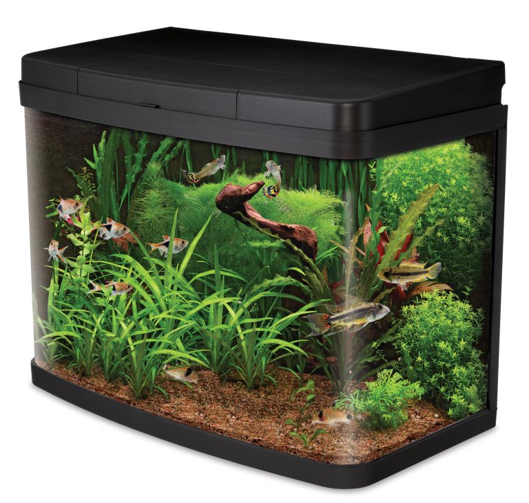 Aquarium Tank 18 litre with LED Heater and Filter ( Local Delivery or Collection Only)