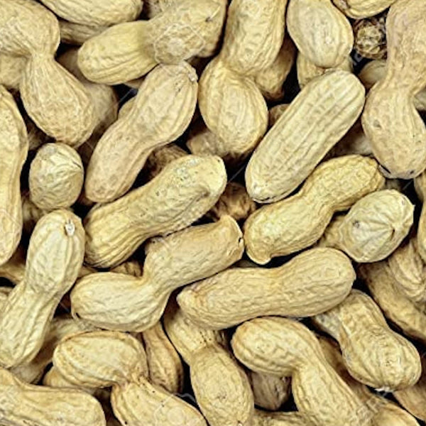 Peanuts in Shell 700g