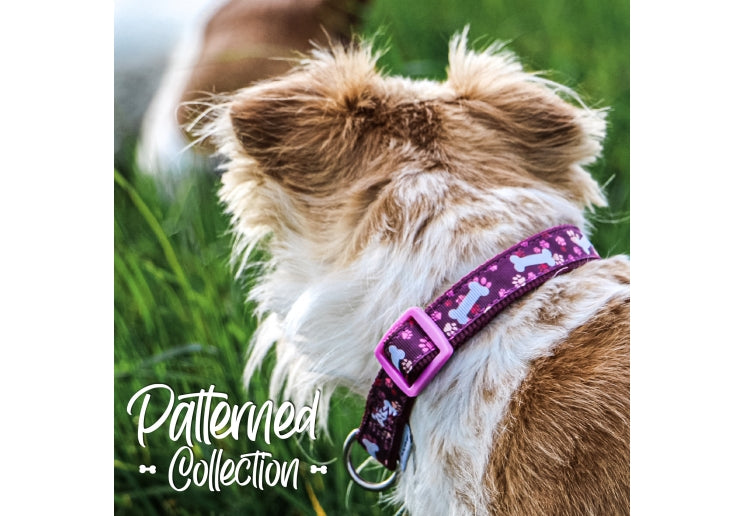 Ancol Purple Bone and Paw Print Collar 45-70cm