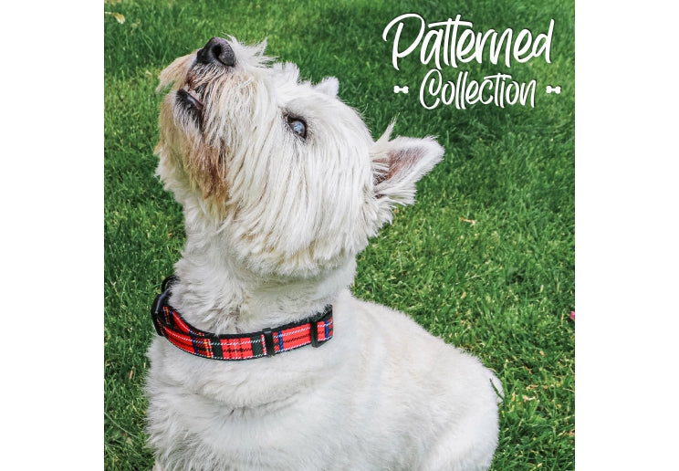 Ancol Red Tartan Dog Collar 30-50cm