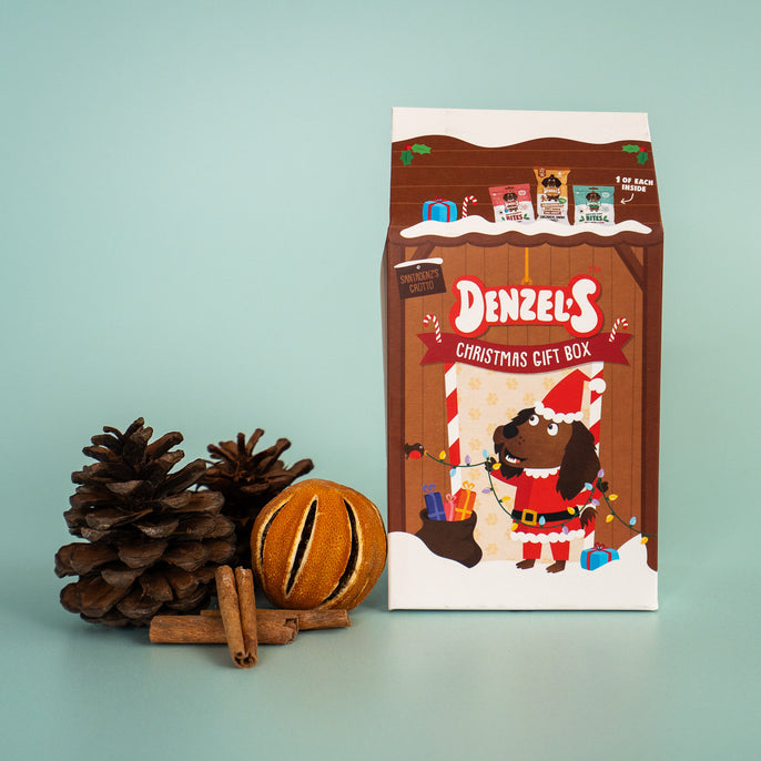 Denzels Christmas Grotto Gift Box for Dogs