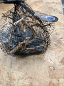 Netted wood & Rocks