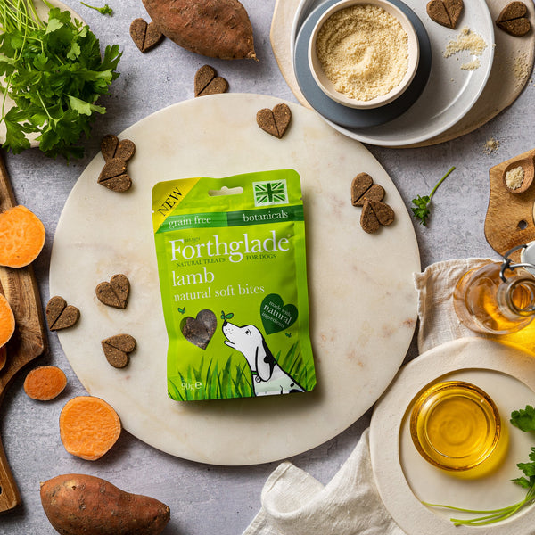 Forthglade Lamb Treats Grain Free 90g