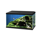 CIANO AQUA 60 LED AQUARIUM - BLACK or white 58L ( Local Delivery or Collection Only)