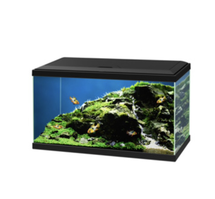 CIANO AQUA 60 LED AQUARIUM - BLACK or white 58L