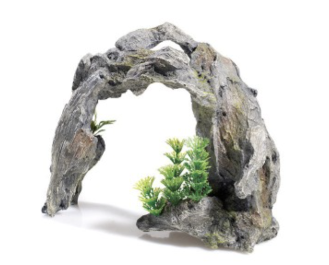 Classic Driftwood Arch/Plant