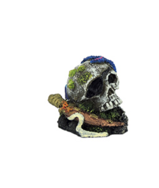 Classic Small Skull