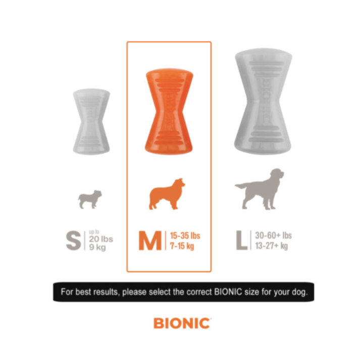 Bionic Bone Medium