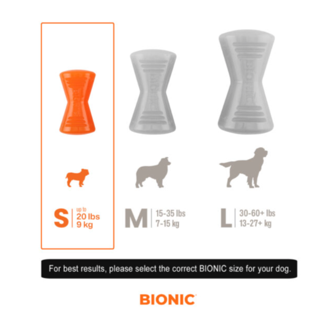 Bionic Bone Small