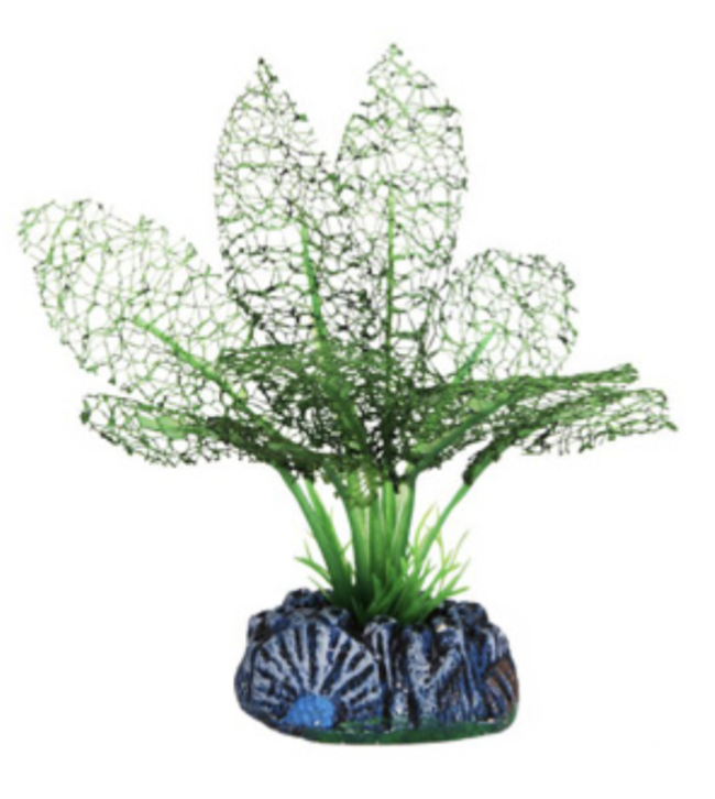 BETTA CHOICE 13CM SILK GREEN LACE PLANT