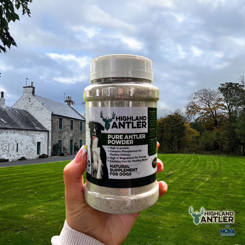 Pure Antler Powder 500ml