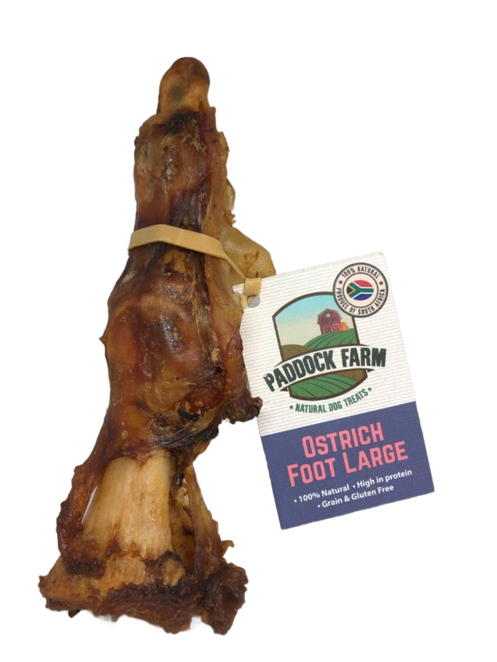 Ostrich Foot - Large