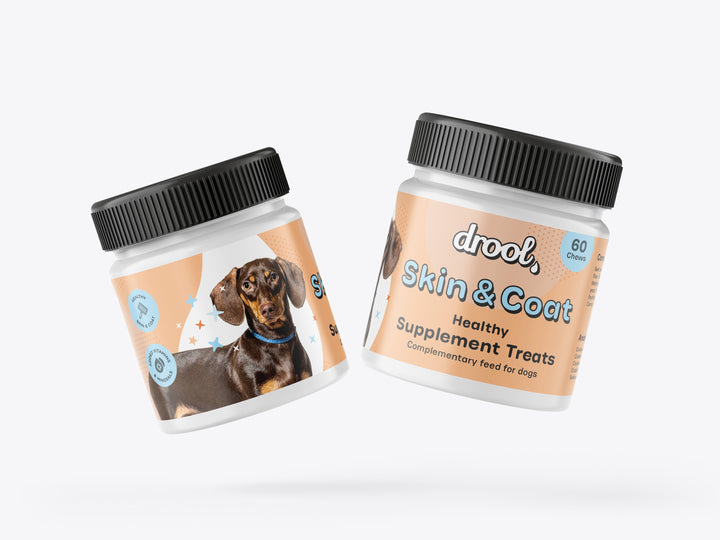 Drool Skin and Coat Supplement 60 x Chews 180g