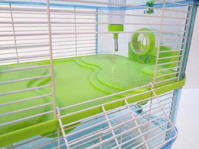 Fantazia Plastic Dwarf Hamster Cage Blue and Lime