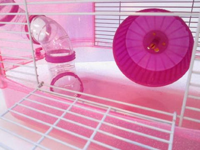 Fantazia Plastic Dwarf Hamster Cage Pink and Purple