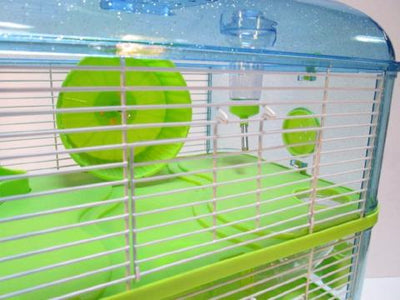 Fantazia Plastic Large Dwarf Hamster Cage - Blue and Lime