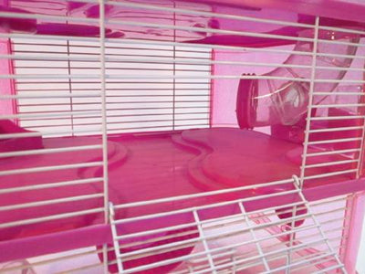 Fantazia Plastic Large Dwarf Hamster Cage - Pink and Purple