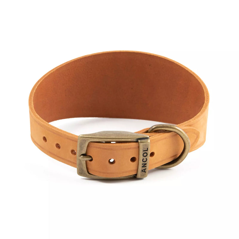 Ancol Timberwolf Leather Greyhound Collar Mustard - Size 4