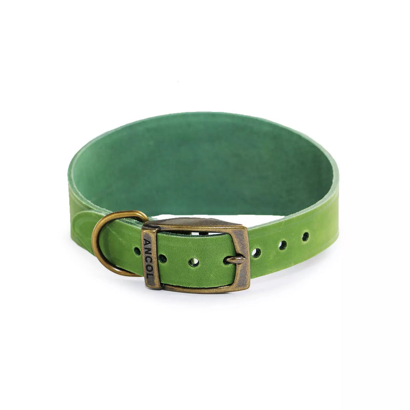 Ancol Timberwolf Leather Whippet Collar Green -Size 2