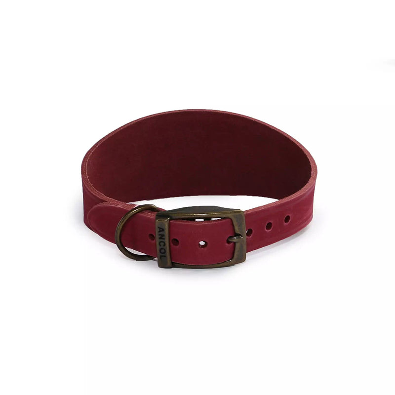 Ancol Timberwolf Leather Whippet Collar Raspberry - Size 2