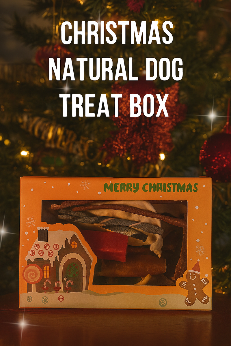 Christmas Dog Natural Treat Box
