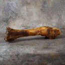 Mega Roast Bone ( half cows leg )
