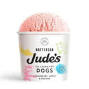 Jude's Dog Ice Cream x 4