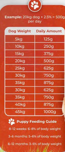 Prime Raw Duck and Veg 454g