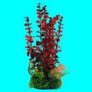 Aquarium Plant