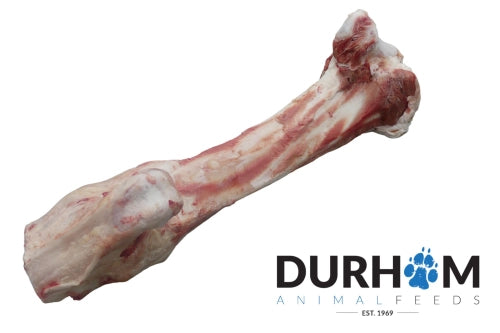 DAF Jurassic Raw Bone