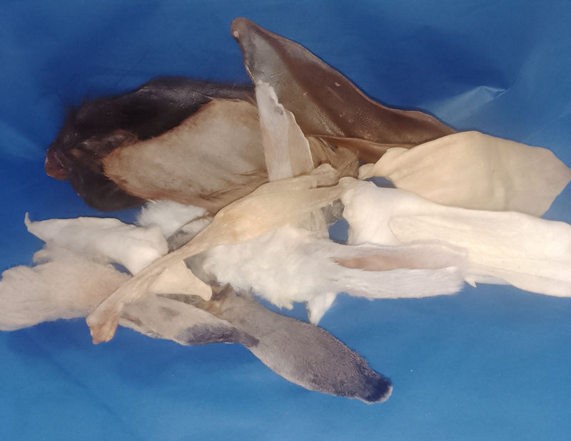 Eerie Halloween Bag Full of Natural Treats