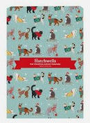 Hatchwells Advent Calendar for Cats