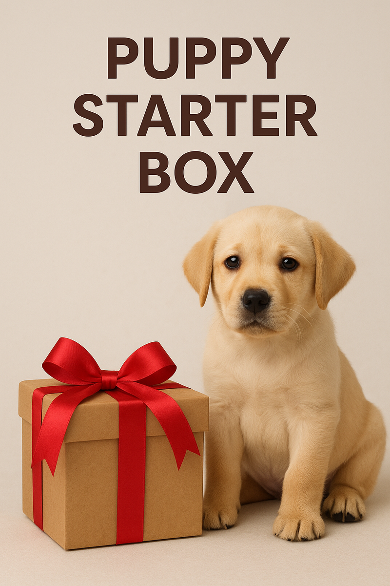 Puppy Starter Box