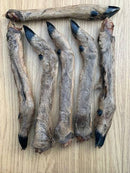Roe Deer Leg with Hair