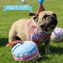 Pawty Birthday Cake Dog Toy