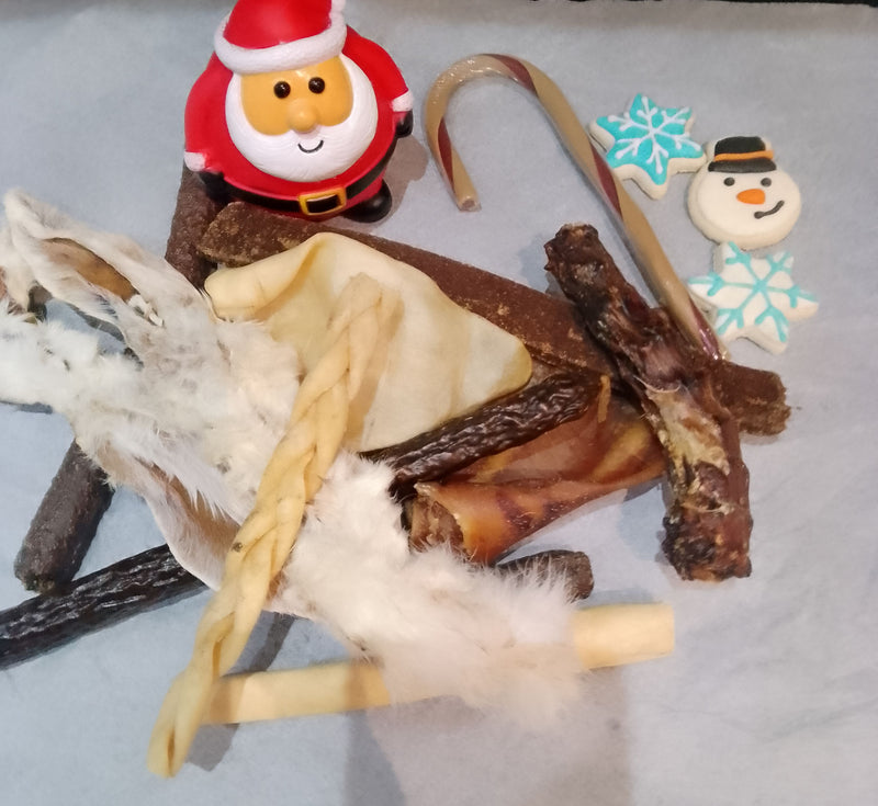 Puppies First Christmas Natural Treat Box