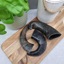 Buffalo Chewing Horn Small