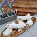 DAF Raw Rabbits Feet x 30