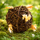 Happy Pet Nature's First Natural Play Ball