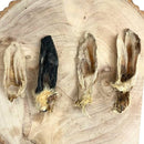 Hairy Lambs Ears 100g