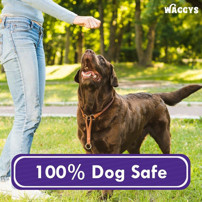 Waggys Dog Safe Chocolate Drops - 1kg