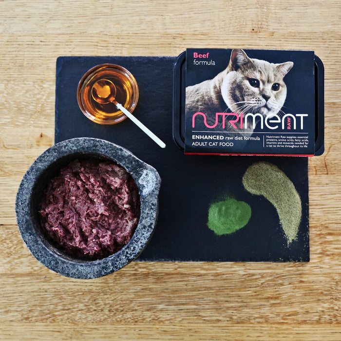 Rawr cat food sale