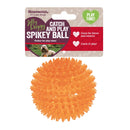 Catch anc Play Spiky Rubber Ball